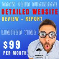 Social Media or Website Review and Report