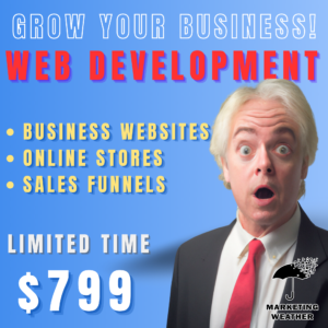 Web development, Online Store, Portfolio or Business website